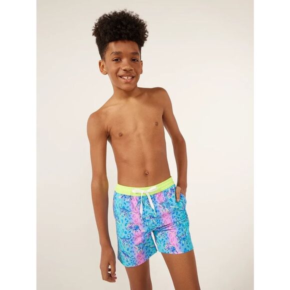 Chubbies The Dino Delights Youth Classic Mesh Lined Swim Trunks Blue/Pink Dinosa